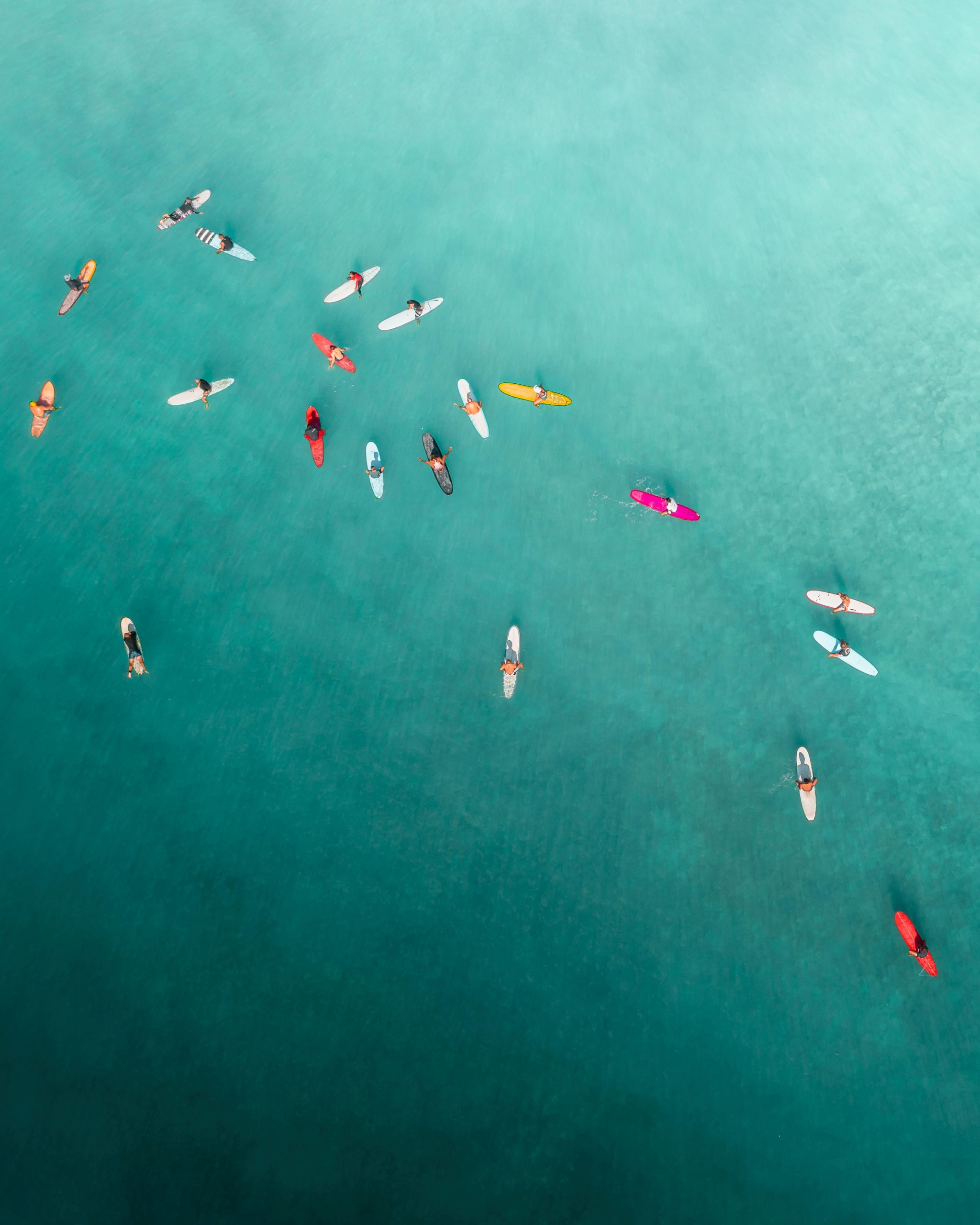 Aerial shot capturing surfers paddling in vibrant turquoise waters, creating a colorful scene.